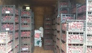 На Луганщине задержаны восемь машин с продуктами, которые везли на оккупированные территории Донбасса, - ГФС. ФОТОрепортаж