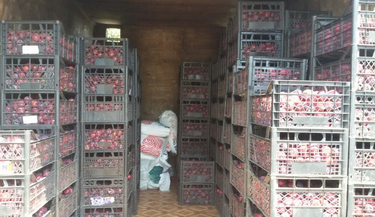 На Луганщине задержаны восемь машин с продуктами, которые везли на оккупированные территории Донбасса, - ГФС. ФОТОрепортаж