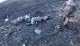 окупанти,тіла