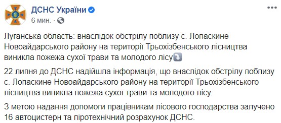 Унаслідок обстрілу на Луганщині загорівся ліс, - ДСНС 01 Унаслідок обстрілу на Луганщині загорівся ліс, - ДСНС 01