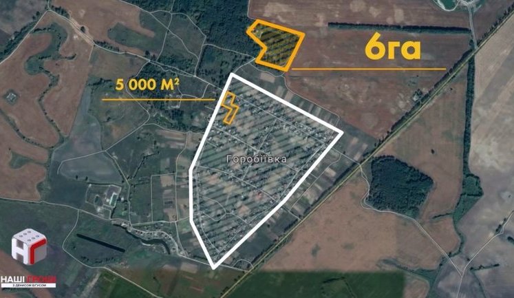 Журналисты нашли у директора Института сердца Тодурова резиденцию на 6 гектарах леса и коллекцию квартир, - "Наші гроші". ВИДЕО