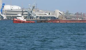 Мининфраструктуры одобрило предварительное ТЭО концессии морпорта "Южный"