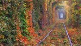 любви тоннель клевань