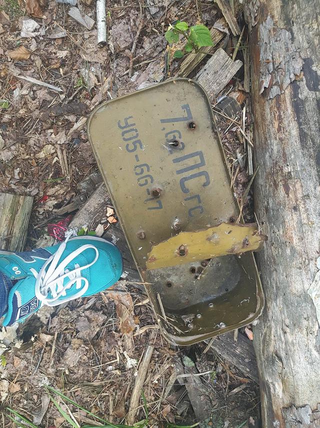 Hunting home of fugitive president Yanukovych: trophy from Lukashenko and guards shooting club 27 Hunting home of fugitive president Yanukovych: trophy from Lukashenko and guards shooting club 27