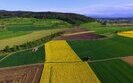 Україна може на 100% забезпечити Євросоюз агрокультурами, які в нас вирощуються, – Висоцький