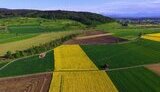 Україна може на 100% забезпечити Євросоюз агрокультурами, які в нас вирощуються, – Висоцький