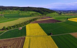 Україна може на 100% забезпечити Євросоюз агрокультурами, які в нас вирощуються, – Висоцький