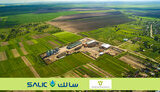 salic