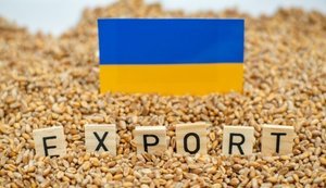 Україна збільшила валютну виручку від агроекспорту завдяки переробці: хто найбільші імпортери?