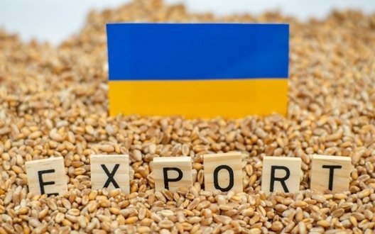 В Україні запускають систему перевірки експортної агропродукції: Як скористатися новим механізмом?