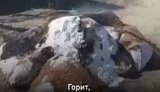 гуманітарна,чорнобаївка
