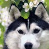 Катя Литвин #403641