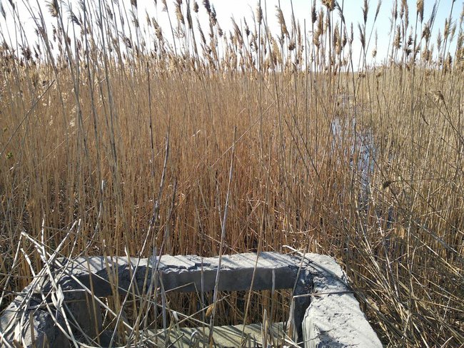 Цензор.НЕТ Изображение