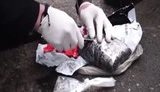 Ликвидирован канал контрабанды героина из РФ, задержаны трое членов ОПГ, - Госпогранслужба. ВИДЕО+ФОТО