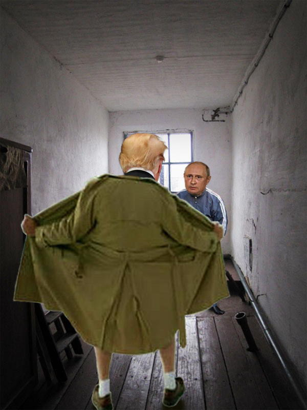 Не валяй дурака, Америка... Зустріч Трампа і Путіна у ФОТОжабах 07