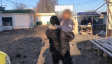 шевченкове