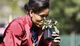 Первая леди США Мишель Обама засеяла огород под Белым домом. ФОТОрепортаж.