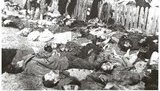 Волинська трагедія-1943. Український погляд: етнічна чистка чи польсько-українська війна?