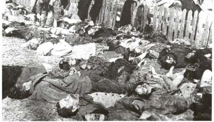 Волинська трагедія-1943. Український погляд: етнічна чистка чи польсько-українська війна?