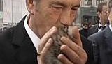 Котенок для Ющенко - 800 гривен пушистой радости. ВИДЕО.