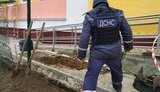 96 взрывоопасных предметов и патронов времен Второй мировой войны нашли возле школы в Запорожской области, - ГСЧС. ФОТОрепортаж