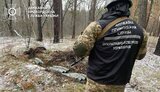 схрон