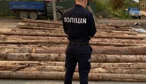 буковина,лес