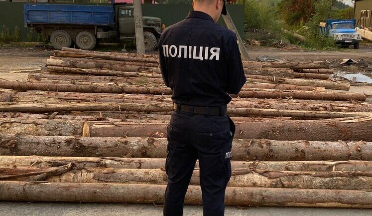 До 10 років тюрми: Рада посилила покарання за незаконне вирубування дерев