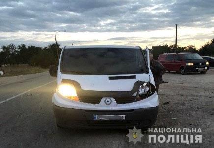 Микроавтобус насмерть сбил мать с 9-летней дочерью на Херсонщине, - полиция 01