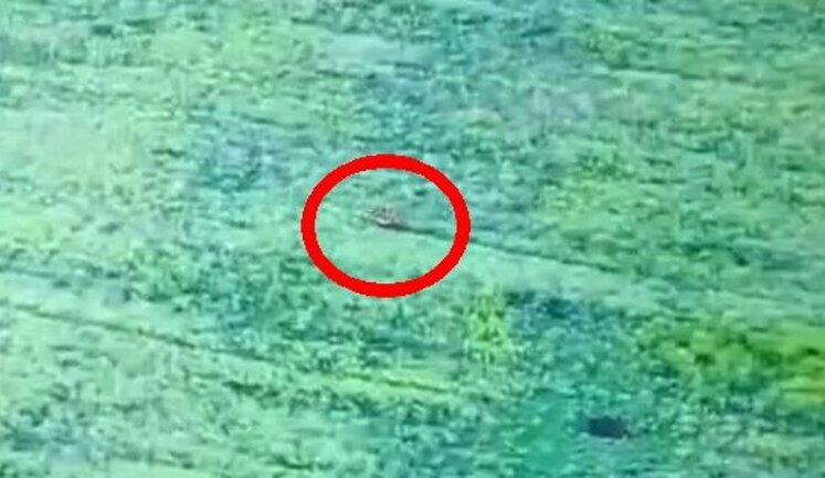 Russian motorized assault trooper gets caught in wire snare trap at full speed and goes flying over handlebars. VIDEO