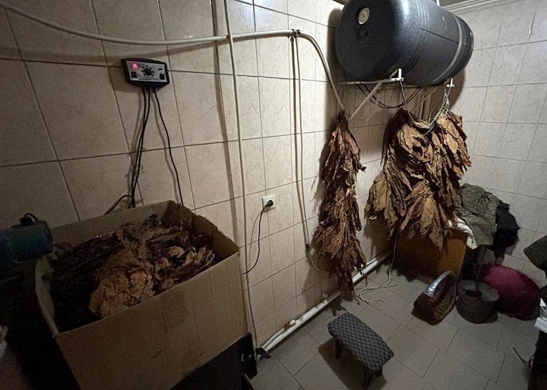 масштабный табачный бизнес