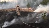 Збитків від пожеж у зоні ЧАЕС завдано на десятки мільйонів гривень, - в.о. глави ДАЗВ Павлова