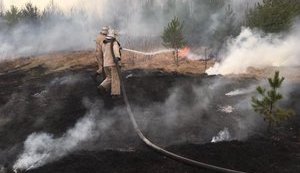 Ущерб от пожаров в зоне ЧАЭС нанесен на десятки миллионов гривен, - и.о. главы ГАЗО Павлова