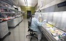 Two Ukrainians infected with coronavirus at Diamond Princess cruise liner