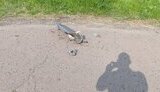 Missile debris in Poltava region