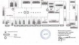 Пенитенциарная служба откровенно лжет, - "Батькивщина". ДОКУМЕНТ