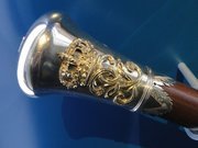 История появления трости и её владельцы