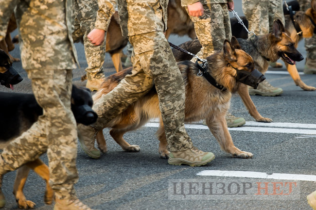 Репетиция военного парада 20 августа 17