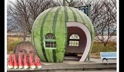 Арбузов в Нацбанк вкатился с пригорка, останутся скоро в "резервах" лишь корки...