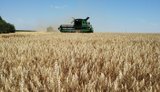 Уряд розширює програму "5-7-9%" для підтримки аграріїв в умовах блокування експорту