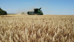 Уряд розширює програму "5-7-9%" для підтримки аграріїв в умовах блокування експорту