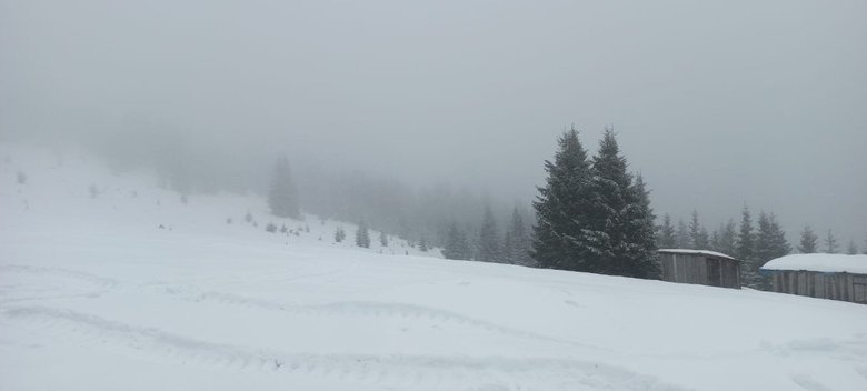 Прикордонники врятували порушника у засніжених Карпатах