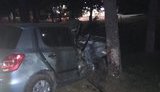 В Ужгороде пьяная 23-летняя водитель Skoda влетела в дерево, погибла 19-летняя пассажирка. ФОТО
