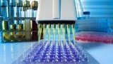 Ukraine does not buy or plan to buy PCR tests produced in Russia