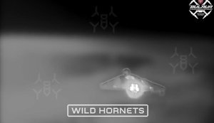 Дронарі підрозділу "Bulava" перехоплювачами STING знищили 20 російських БпЛА типу "Шахед". ВIДЕО