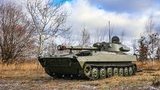 сау,гвоздика