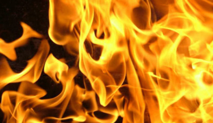 Слідство розглядає підпал лісу, про який писала Гандзюк, як один із ключових мотивів нападу на неї, - Тиводар