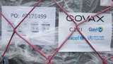 У COVAX віддали пріоритет африканським країнам, - Кузін про затримки з постачанням вакцини в Україну