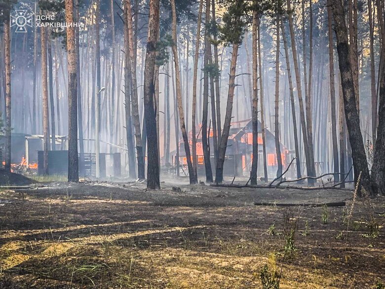 На Харківщині через обстріли РФ горів ліс