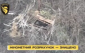окупанти